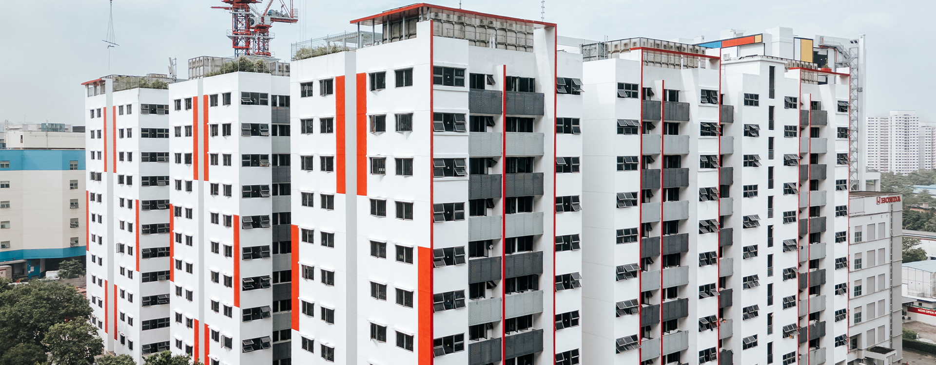 Mandai Centurion WehStudio 6
